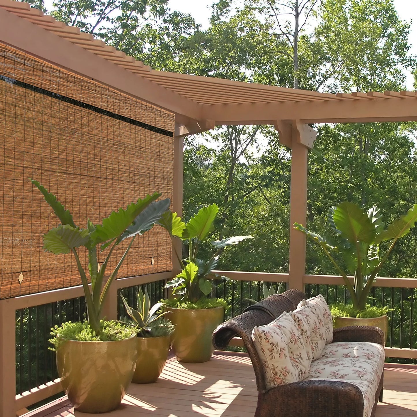 Bamboo Blinds, Imperial Cordless Blinds for Windows, Fruitwood Finish, 72" X 72"
