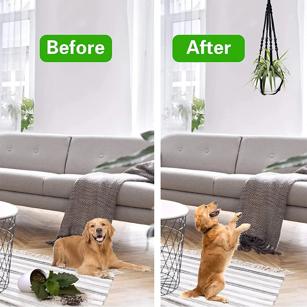 10 Pack Macrame Hanger Indoor Outdoor Hanging Planter, Knitted Cotton Cord Hanger for Home Decor
