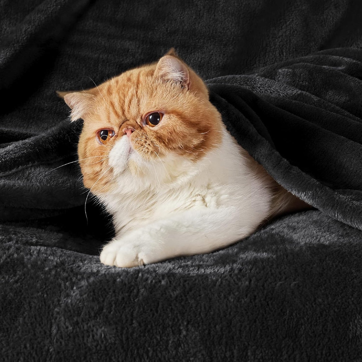 Gentlesoft Fleece Throw Blanket for Couch Black - Lightweight Plush Fuzzy Cozy Soft Halloween Blankets and Throws for Sofa, 50X60 Inches