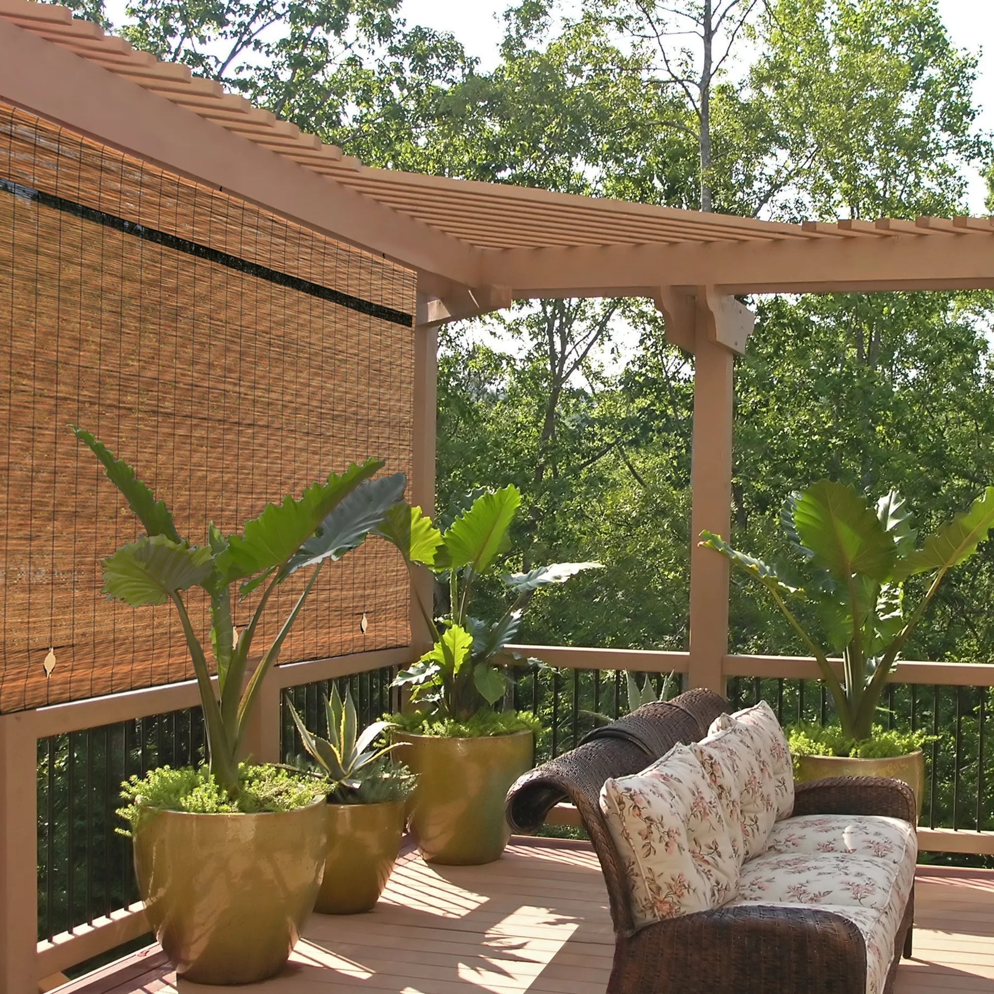 Bamboo Blinds, Imperial Cordless Blinds for Windows, Fruitwood Finish, 72" X 72"