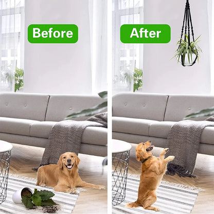 10 Pack Macrame Hanger Indoor Outdoor Hanging Planter, Knitted Cotton Cord Hanger for Home Decor